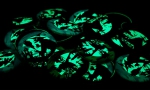 Panachage de badges ronds 45mm sur fond phosphorescent.
Différents visuels : 'Sihouettes de sorcières, vampires, zombies et décors halloween.'
